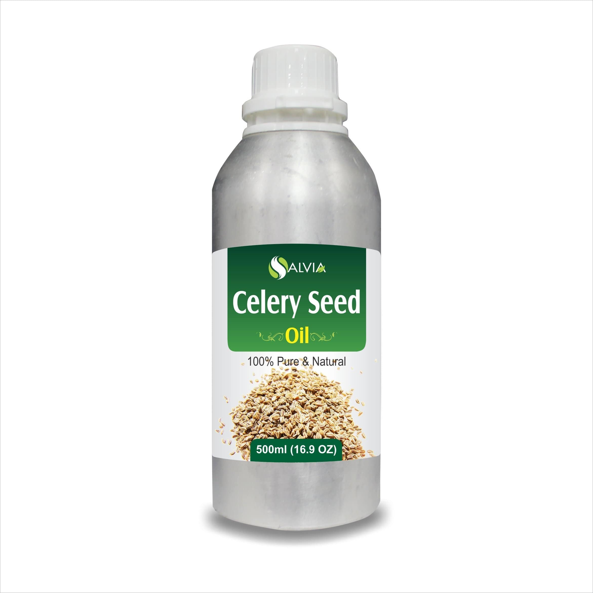 celery plant celery plant